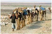 afar